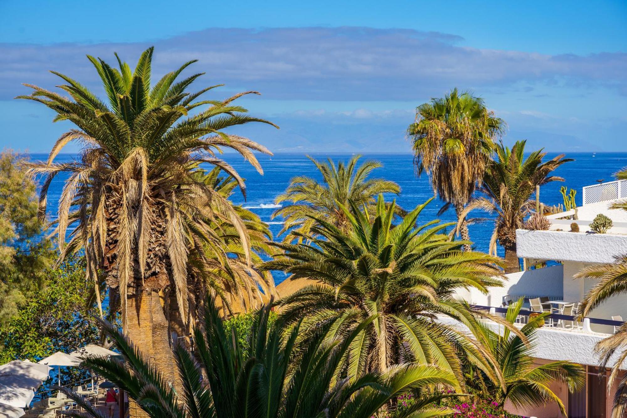 Exclusive Sea Views Villamar - Big Terrace & Pool アデヘ エクステリア 写真